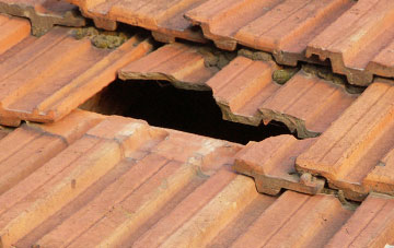 roof repair Rhyd